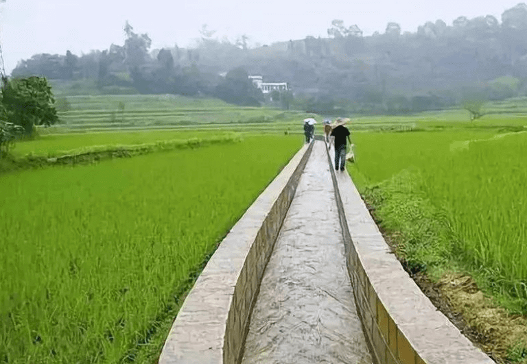 宁夏水科院编制技术导则，加快推进现代化生态灌区建设